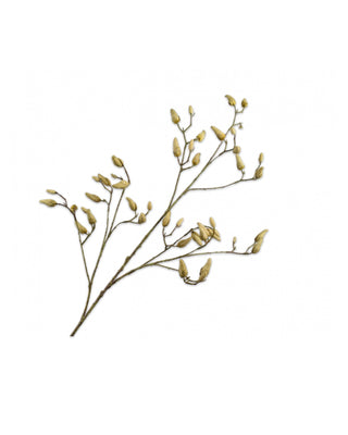 2 MAGNOLIA TAKKEN | KELLY BEUKERS