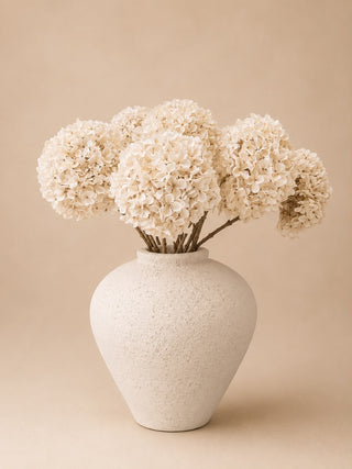 BOEKET HORTENSIA | CRÉME