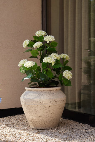 HORTENSIA 90CM OUTDOOR| WIT