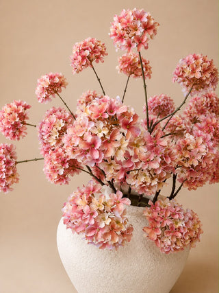 BOEKET HORTENSIA | NUDE