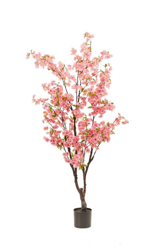 BLOESEMBOOM ROZE 175CM