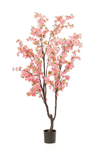 BLOESEMBOOM ROZE 210CM