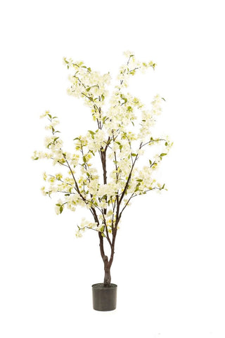 BLOESEMBOOM WIT 175CM