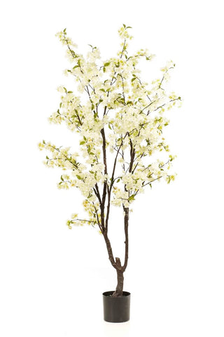 BLOESEMBOOM WIT 210CM