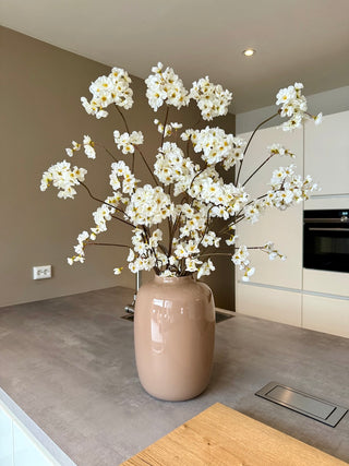 BOEKET BLOESEM | CRÈME