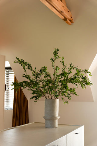 RUSCUS TAK 140CM | LOSSE TAK