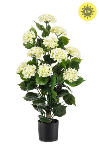 HORTENSIA 90CM OUTDOOR| WIT