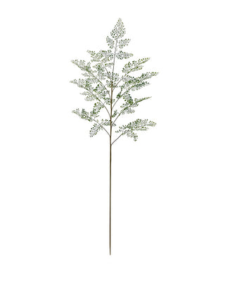 ADIANTHUM 153CM | GROEN