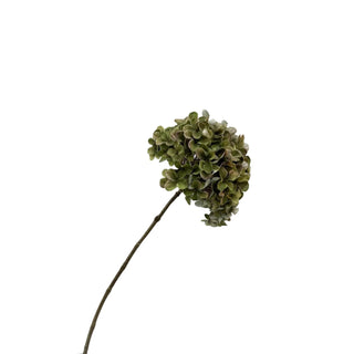 HORTENSIA 65CM | GROEN
