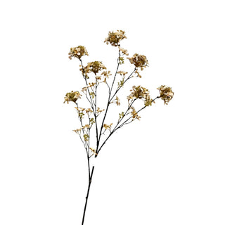 HORTENSIA 109CM | CREME