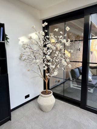 BLOESEMBOOM CRÈME 180CM | ECHTE HOUTEN STAM