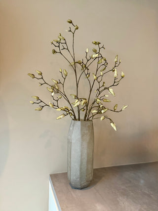 2 MAGNOLIA TAKKEN | KELLY BEUKERS