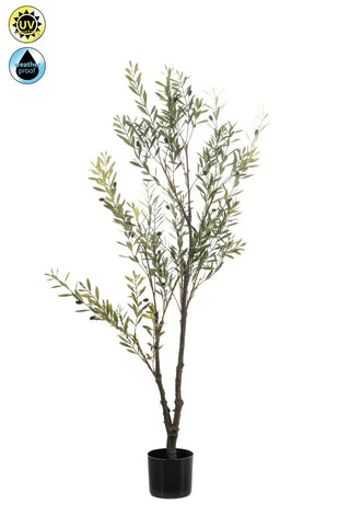 OLIJFBOOM OUTDOOR 140CM