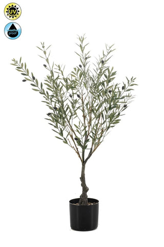 OLIJFBOOM OUTDOOR 90CM