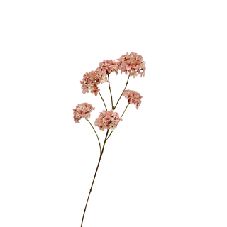 HORTENSIA 95CM | NUDE ROZE