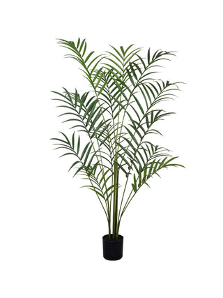PALM 210CM