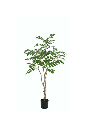 SANDALWOOD 180CM