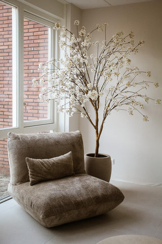 BLOESEMBOOM CRÈME 220CM | ECHTE HOUTEN STAM