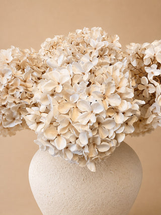 BOEKET HORTENSIA | CRÉME