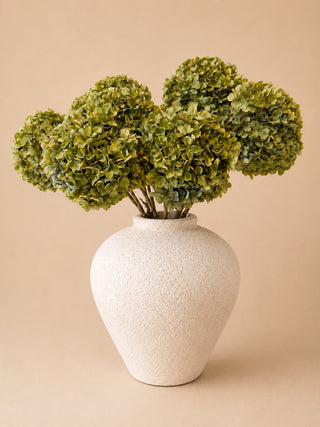 BOEKET HORTENSIA | GROEN